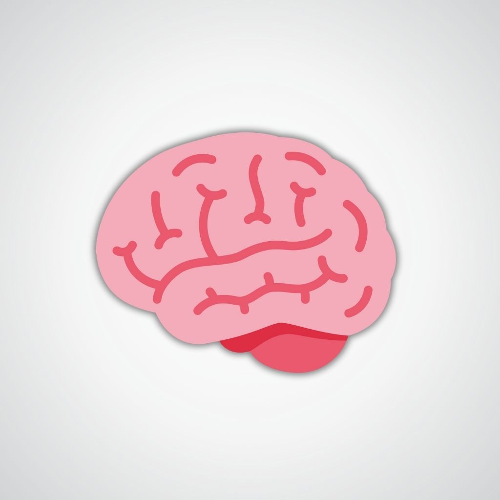 Cerebro y mente